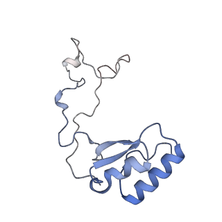 37995_8y0u_Le_v1-0
dormant ribosome with STM1