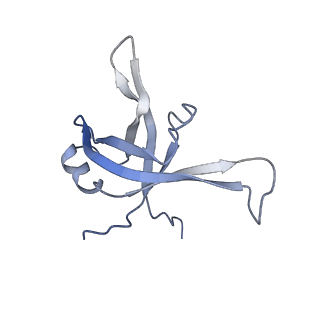 37995_8y0u_Lf_v1-0
dormant ribosome with STM1