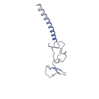 37995_8y0u_Lg_v1-0
dormant ribosome with STM1