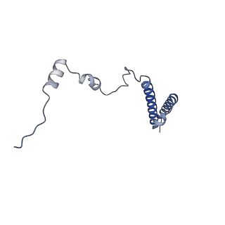 37995_8y0u_Lh_v1-0
dormant ribosome with STM1