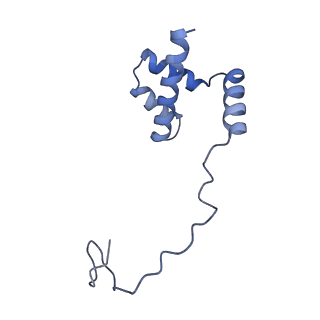 37995_8y0u_Li_v1-0
dormant ribosome with STM1