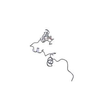 37995_8y0u_Lj_v1-0
dormant ribosome with STM1