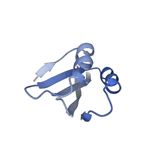 37995_8y0u_Lk_v1-0
dormant ribosome with STM1