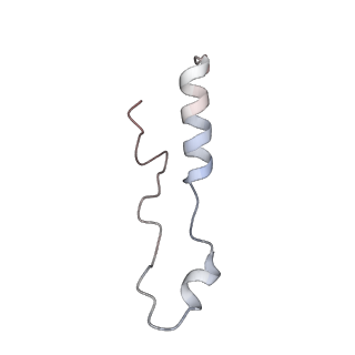 37995_8y0u_Ll_v1-0
dormant ribosome with STM1