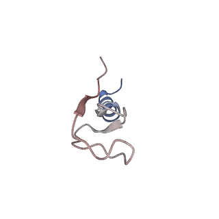 37995_8y0u_Lm_v1-0
dormant ribosome with STM1