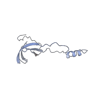 37995_8y0u_Lo_v1-0
dormant ribosome with STM1