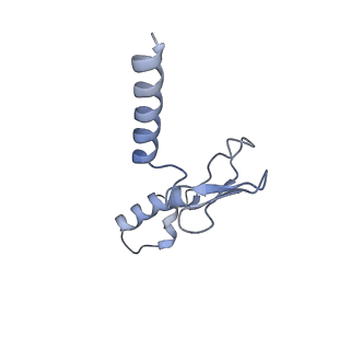 37995_8y0u_Lp_v1-0
dormant ribosome with STM1