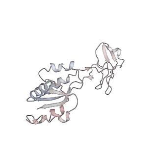 37995_8y0u_P0_v1-0
dormant ribosome with STM1