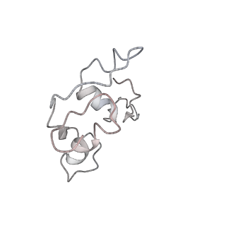 37995_8y0u_P2_v1-0
dormant ribosome with STM1
