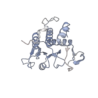 37995_8y0u_SA_v1-0
dormant ribosome with STM1