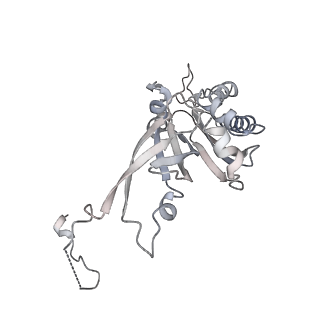 37995_8y0u_SB_v1-0
dormant ribosome with STM1