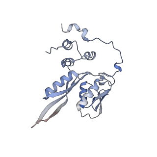 37995_8y0u_SC_v1-0
dormant ribosome with STM1