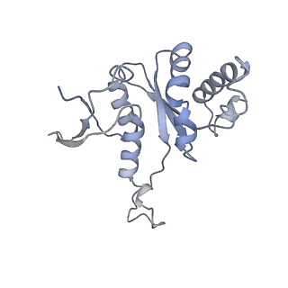 37995_8y0u_SH_v1-0
dormant ribosome with STM1