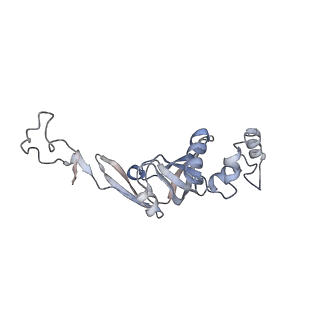 37995_8y0u_SI_v1-0
dormant ribosome with STM1