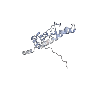 37995_8y0u_SJ_v1-0
dormant ribosome with STM1