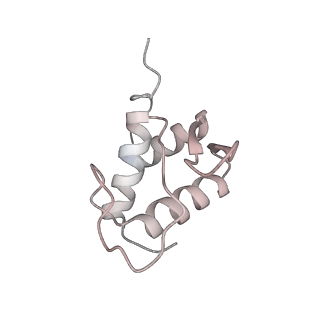 37995_8y0u_SK_v1-0
dormant ribosome with STM1