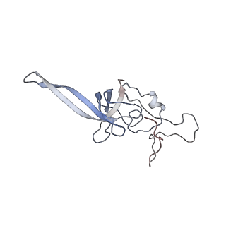 37995_8y0u_SL_v1-0
dormant ribosome with STM1