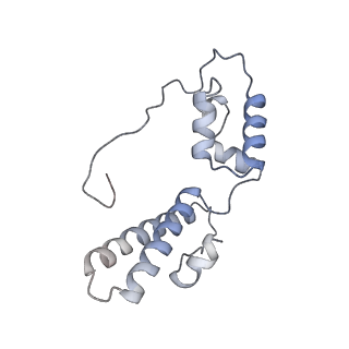 37995_8y0u_SN_v1-0
dormant ribosome with STM1