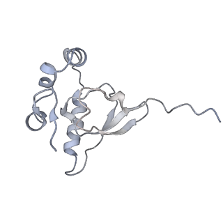 37995_8y0u_SP_v1-0
dormant ribosome with STM1