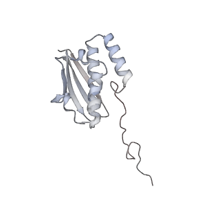 37995_8y0u_SQ_v1-0
dormant ribosome with STM1