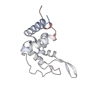 37995_8y0u_ST_v1-0
dormant ribosome with STM1