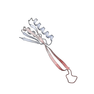 37995_8y0u_SU_v1-0
dormant ribosome with STM1