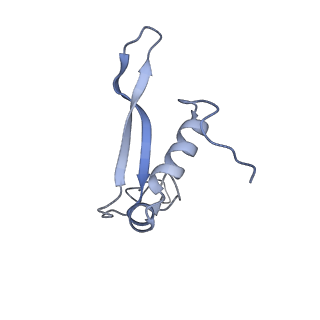 37995_8y0u_SV_v1-0
dormant ribosome with STM1