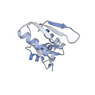 37995_8y0u_SW_v1-0
dormant ribosome with STM1