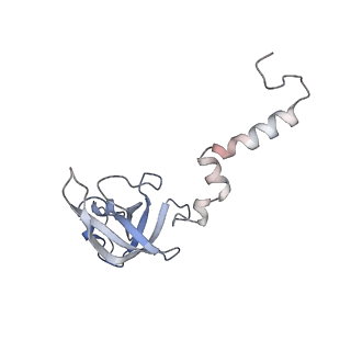 37995_8y0u_SX_v1-0
dormant ribosome with STM1