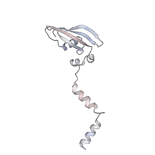 37995_8y0u_SY_v1-0
dormant ribosome with STM1