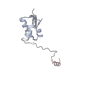 37995_8y0u_SZ_v1-0
dormant ribosome with STM1