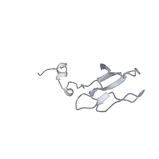 37995_8y0u_Sb_v1-0
dormant ribosome with STM1