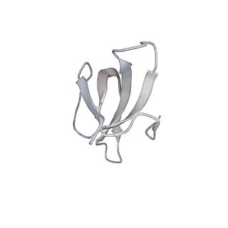 37995_8y0u_Sc_v1-0
dormant ribosome with STM1