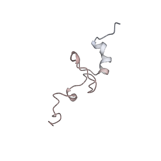 37995_8y0u_Sd_v1-0
dormant ribosome with STM1