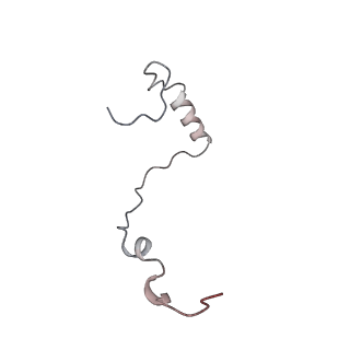 37995_8y0u_Se_v1-0
dormant ribosome with STM1