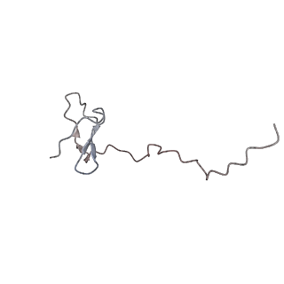 37995_8y0u_Sf_v1-0
dormant ribosome with STM1