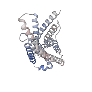 33554_7y12_R_v1-1
Cryo-EM structure of MrgD-Gi complex with beta-alanine