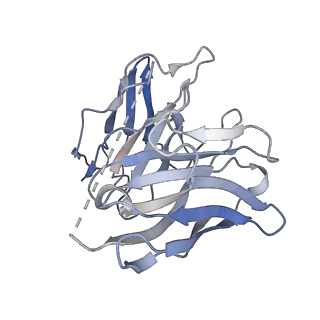 33554_7y12_S_v1-1
Cryo-EM structure of MrgD-Gi complex with beta-alanine