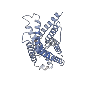 33555_7y13_R_v1-1
Cryo-EM structure of apo-state MrgD-Gi complex (local)