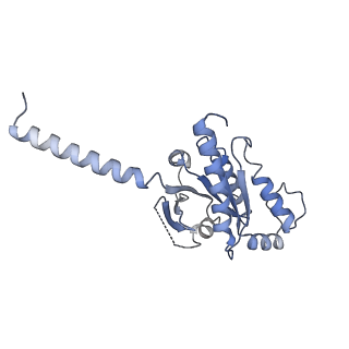 33557_7y15_A_v1-1
Cryo-EM structure of apo-state MrgD-Gi complex