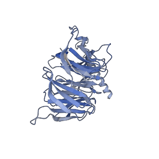 33557_7y15_B_v1-1
Cryo-EM structure of apo-state MrgD-Gi complex