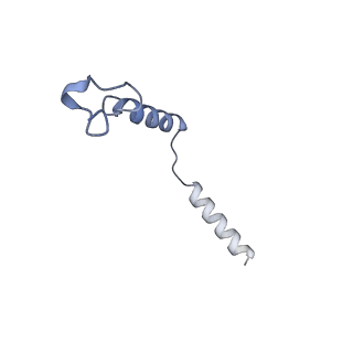 33557_7y15_C_v1-1
Cryo-EM structure of apo-state MrgD-Gi complex