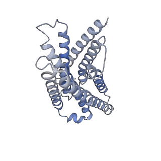 33557_7y15_R_v1-1
Cryo-EM structure of apo-state MrgD-Gi complex
