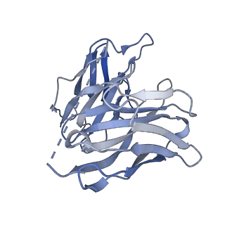 33557_7y15_S_v1-1
Cryo-EM structure of apo-state MrgD-Gi complex