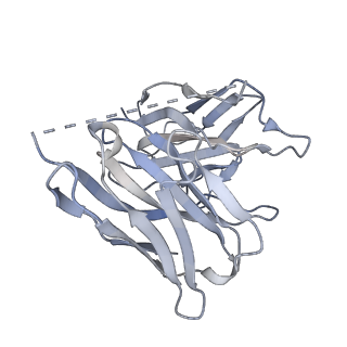 33562_7y1f_E_v1-1
Cryo-EM structure of human k-opioid receptor-Gi complex