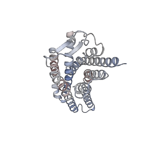 33562_7y1f_R_v1-1
Cryo-EM structure of human k-opioid receptor-Gi complex
