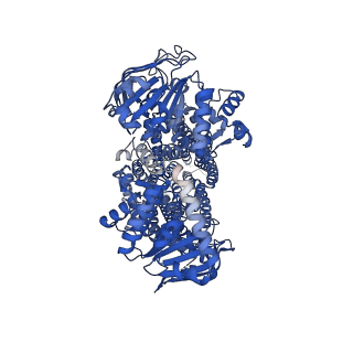 33563_7y1j_A_v1-1
Structure of SUR2A in complex with Mg-ATP and repaglinide in the inward-facing conformation.