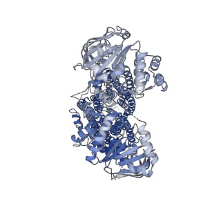 33565_7y1l_A_v1-1
Structure of SUR2B in complex with Mg-ATP and repaglinide in the inward-facing conformation