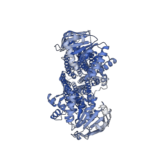 33566_7y1m_A_v1-1
Structure of SUR2B in complex with Mg-ATP, Mg-ADP, and repaglinide in the inward-facing conformation