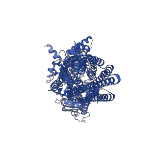 33567_7y1n_A_v1-1
Structure of SUR2B in complex with Mg-ATP, Mg-ADP, and repaglinide in the partially occluded state